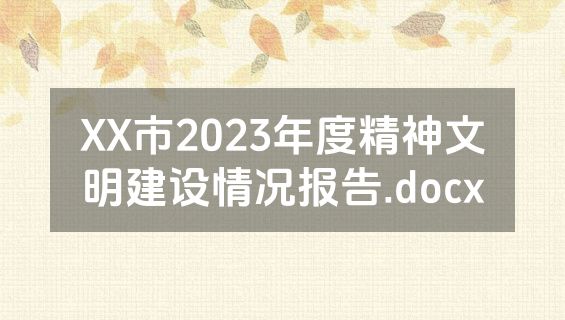 XX市2023年度精神文明建设情况报告.docx