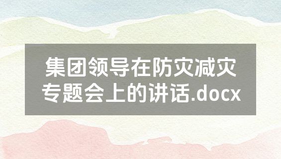 集团领导在防灾减灾专题会上的讲话.docx