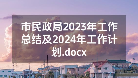 市民政局2023年工作总结及2024年工作计划.docx