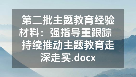 第二批主题教育经验材料：强指导重跟踪  持续推动主题教育走深走实.docx