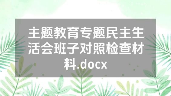 主题教育专题民主生活会班子对照检查材料.docx