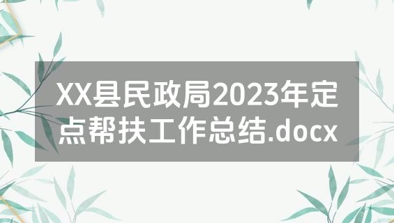 XX县民政局2023年定点帮扶工作总结.docx