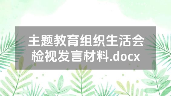 主题教育组织生活会检视发言材料.docx