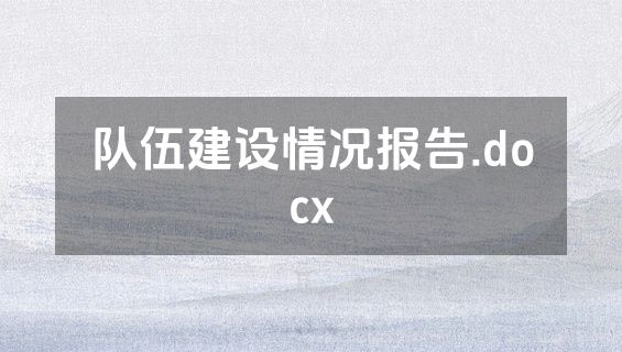 队伍建设情况报告.docx