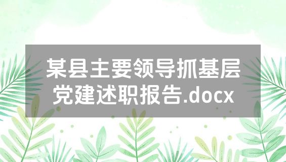 某县主要领导抓基层党建述职报告.docx