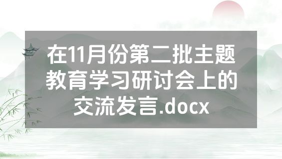 在11月份第二批主题教育学习研讨会上的交流发言.docx