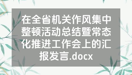 在全省机关作风集中整顿活动总结暨常态化推进工作会上的汇报发言.docx