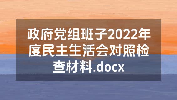 政府党组班子2022年度民主生活会对照检查材料.docx