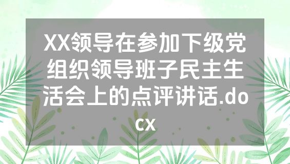 XX领导在参加下级党组织领导班子民主生活会上的点评讲话.docx