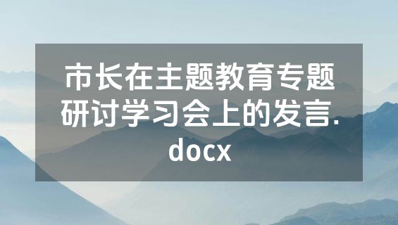 市长在主题教育专题研讨学习会上的发言.docx