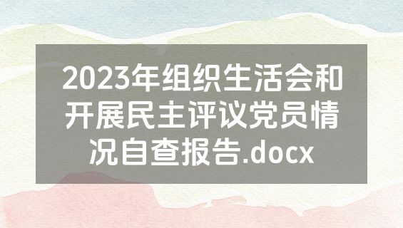 2023年组织生活会和开展民主评议党员情况自查报告.docx
