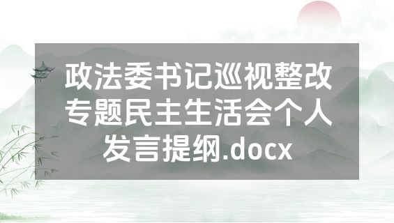政法委书记巡视整改专题民主生活会个人发言提纲.docx