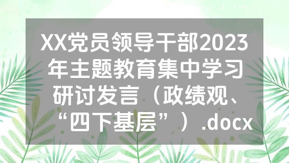 XX党员领导干部2023年主题教育集中学习研讨发言（政绩观、“四下基层”）.docx