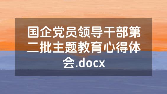 国企党员领导干部第二批主题教育心得体会.docx