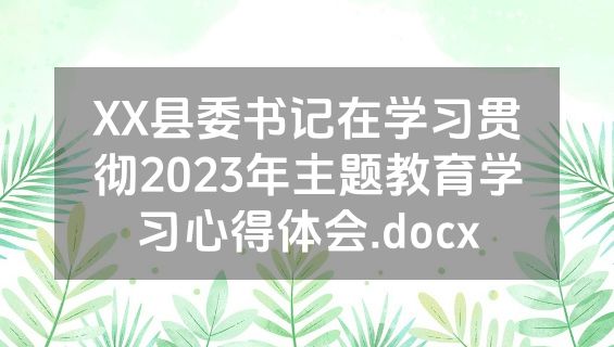 XX县委书记在学习贯彻2023年主题教育学习心得体会.docx