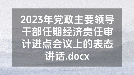 2023年党政主要领导干部任期经济责任审计进点会议上的表态讲话.docx