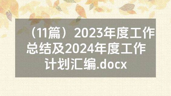 （11篇）2023年度工作总结及2024年度工作计划汇编.docx