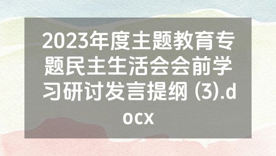 2023年度主题教育专题民主生活会会前学习研讨发言提纲 (3).docx
