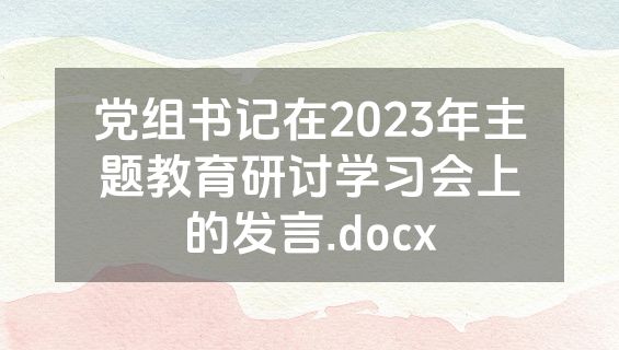 党组书记在2023年主题教育研讨学习会上的发言.docx