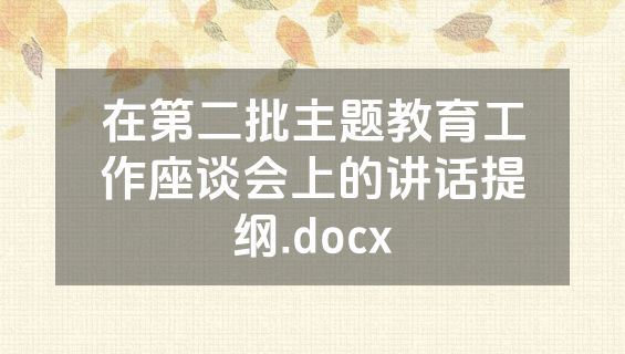 在第二批主题教育工作座谈会上的讲话提纲.docx