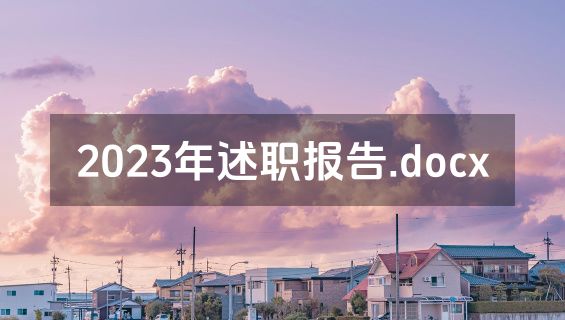 2023年述职报告.docx