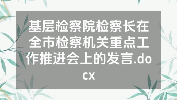 基层检察院检察长在全市检察机关重点工作推进会上的发言.docx