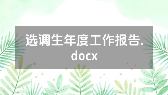 选调生年度工作报告.docx