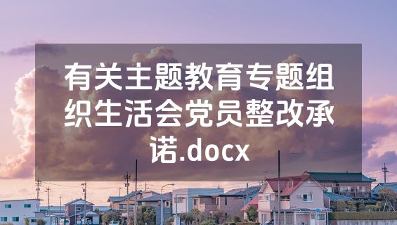有关主题教育专题组织生活会党员整改承诺.docx