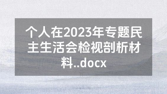 个人在2023年专题民主生活会检视剖析材料..docx