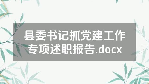 县委书记抓党建工作专项述职报告.docx