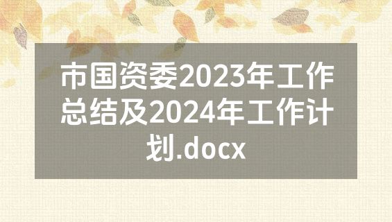 市国资委2023年工作总结及2024年工作计划.docx