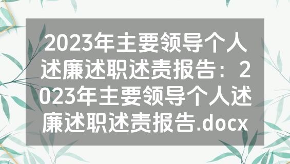 2023年主要领导个人述廉述职述责报告：2023年主要领导个人述廉述职述责报告.docx