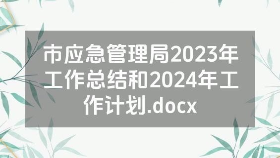市应急管理局2023年工作总结和2024年工作计划.docx