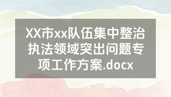 XX市xx队伍集中整治执法领域突出问题专项工作方案.docx