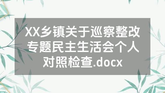 XX乡镇关于巡察整改专题民主生活会个人对照检查.docx