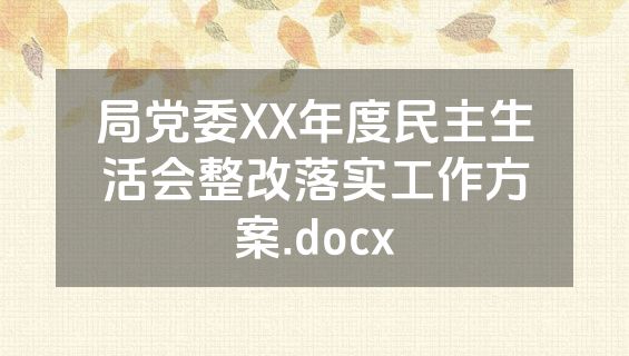 局党委XX年度民主生活会整改落实工作方案.docx