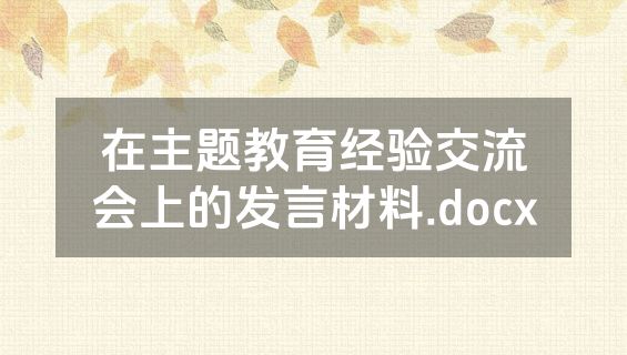在主题教育经验交流会上的发言材料.docx