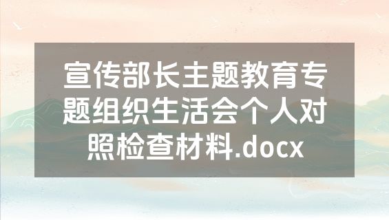 宣传部长主题教育专题组织生活会个人对照检查材料.docx