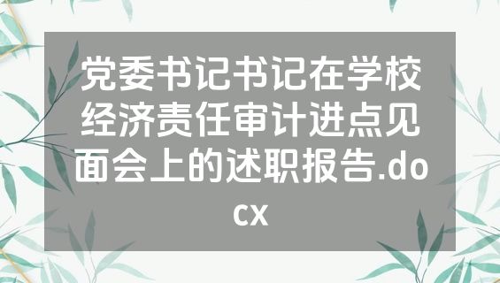 党委书记书记在学校经济责任审计进点见面会上的述职报告.docx