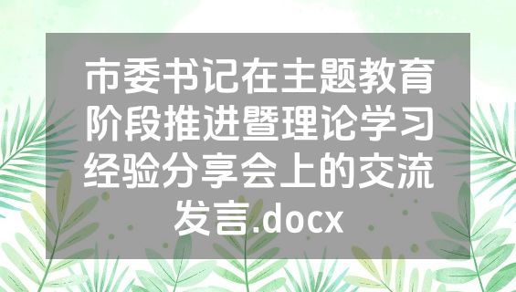 市委书记在主题教育阶段推进暨理论学习经验分享会上的交流发言.docx