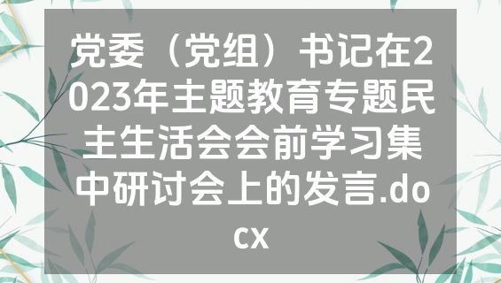 党委（党组）书记在2023年主题教育专题民主生活会会前学习集中研讨会上的发言.docx