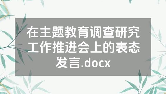 在主题教育调查研究工作推进会上的表态发言.docx
