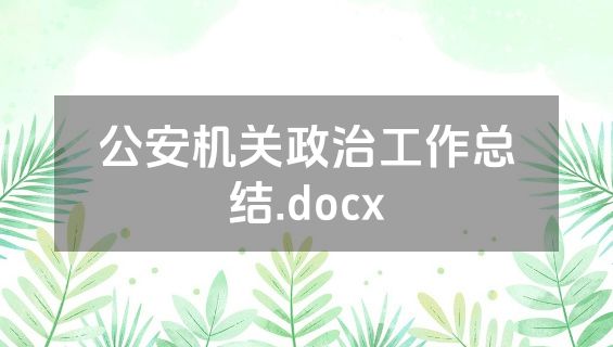 公安机关政治工作总结.docx