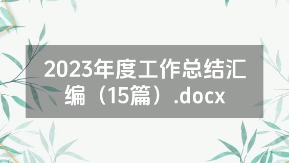2023年度工作总结汇编（15篇）.docx