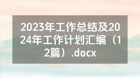 2023年工作总结及2024年工作计划汇编（12篇）.docx