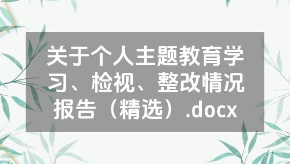 关于个人主题教育学习、检视、整改情况报告（精选）.docx