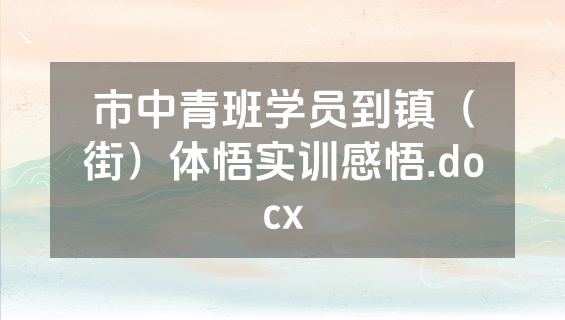 市中青班学员到镇（街）体悟实训感悟.docx