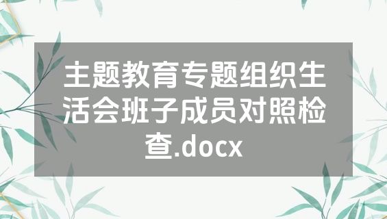 主题教育专题组织生活会班子成员对照检查.docx