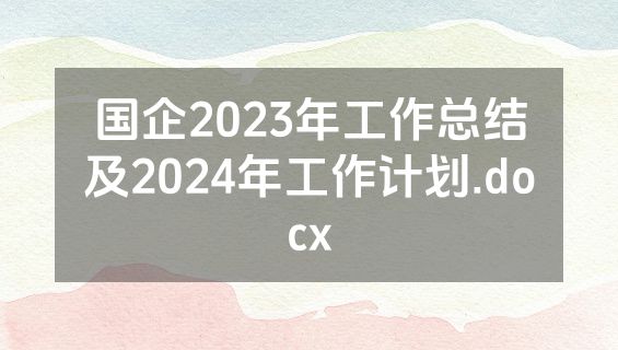 国企2023年工作总结及2024年工作计划.docx