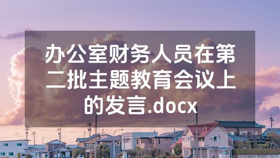 办公室财务人员在第二批主题教育会议上的发言.docx